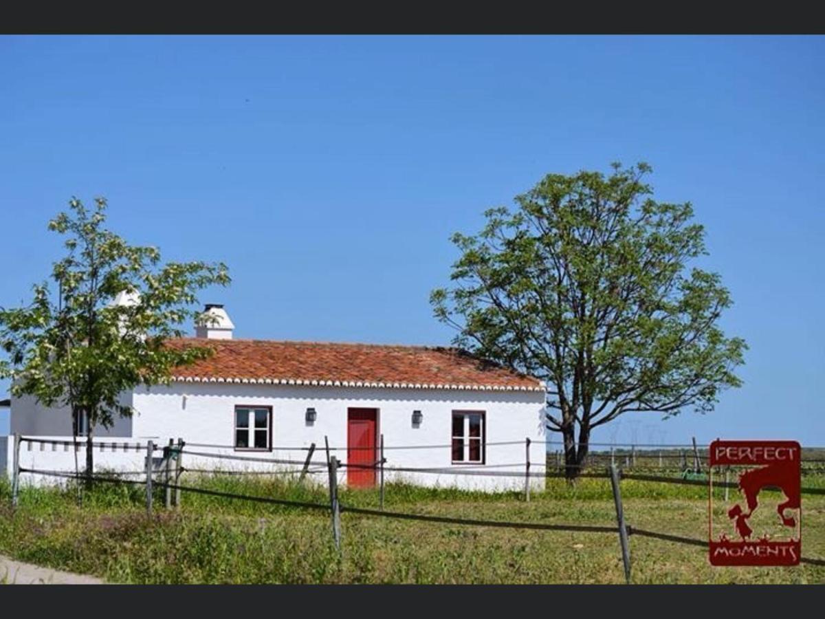 Monte Da Boavista - Country Family House Villa อัลเตอร์ โด โช ภายนอก รูปภาพ