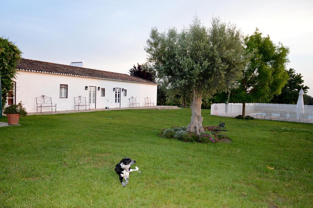 Monte Da Boavista - Country Family House Villa อัลเตอร์ โด โช ภายนอก รูปภาพ