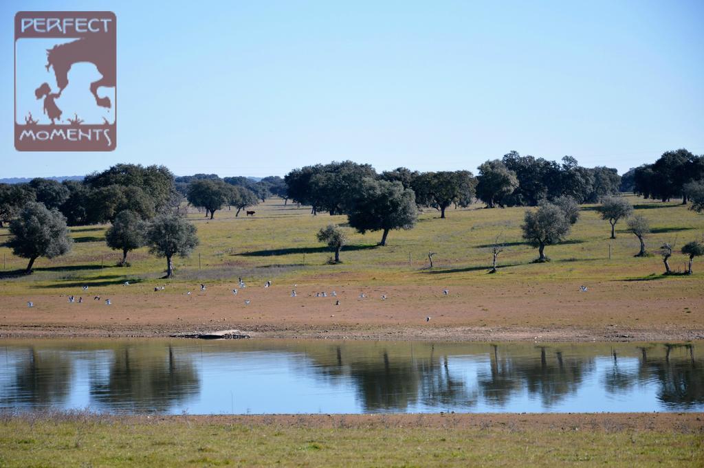 Monte Da Boavista - Country Family House Villa อัลเตอร์ โด โช ภายนอก รูปภาพ